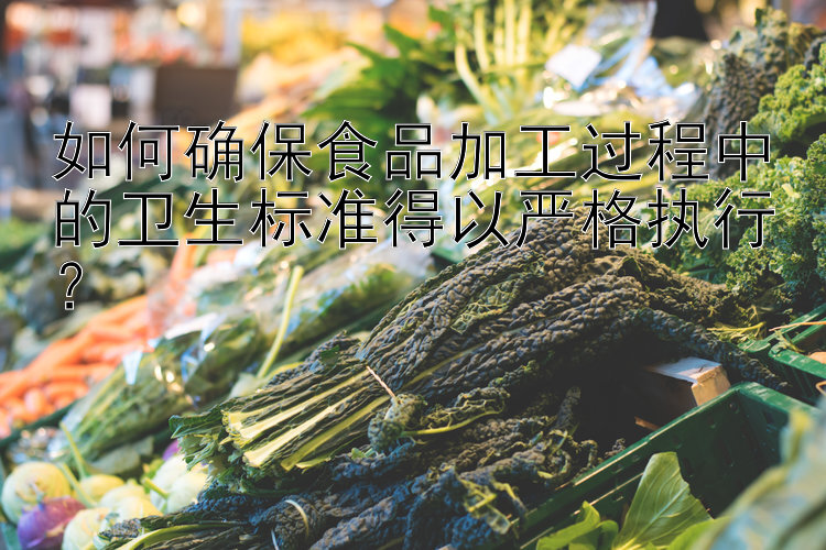 如何确保食品加工过程中的卫生标准得以严格执行？